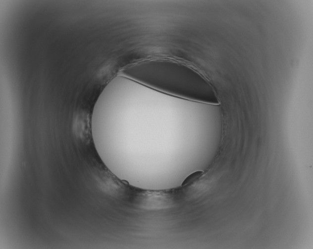 X0000113890528200909241145