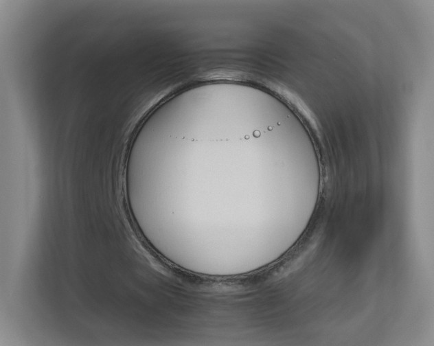 X0000113890529200909241144