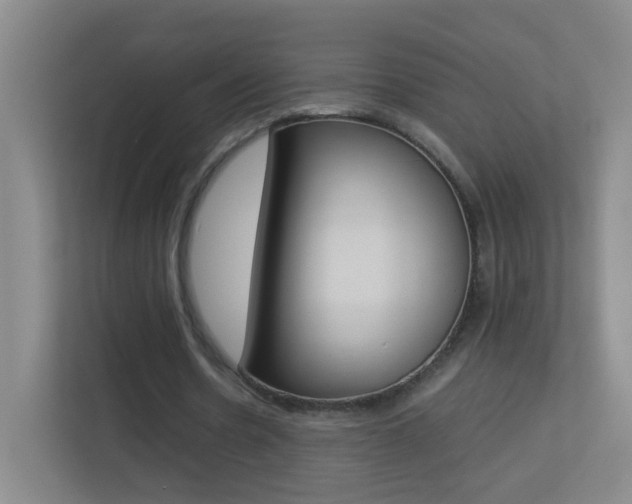 X0000113890530200909241144