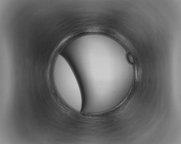 X0000113890531200909241144