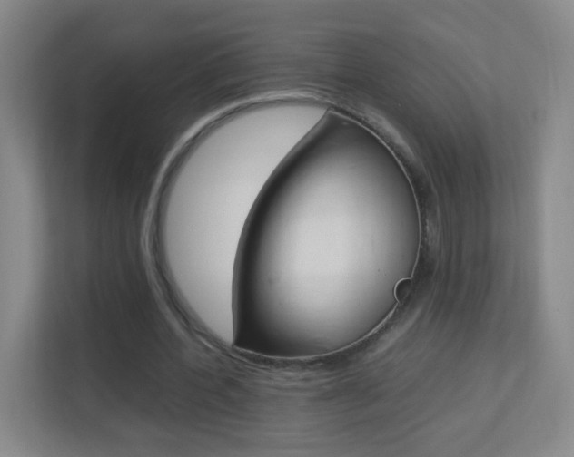 X0000113890532200909241144