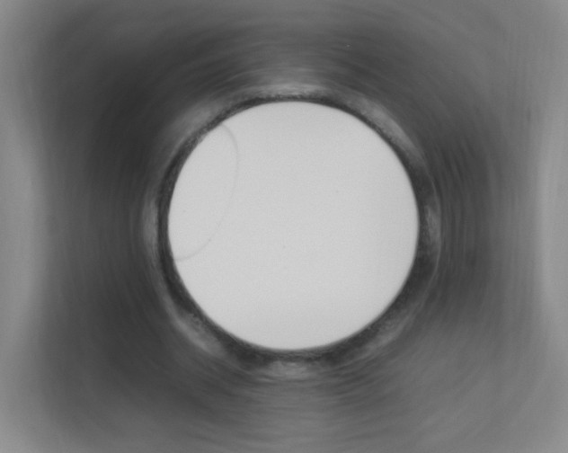 X0000113890534200909241144