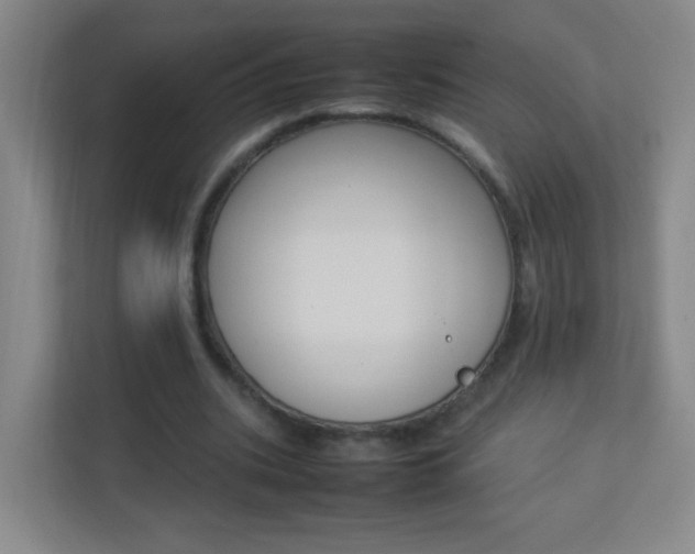 X0000113890535200909241144