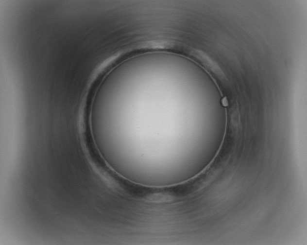 X0000113890536200909241144