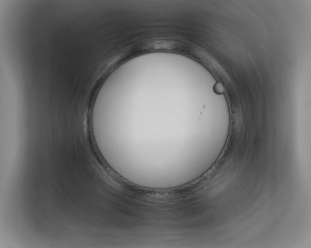 X0000113890537200909241144