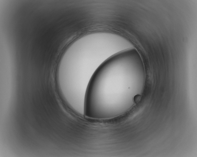X0000113890538200909241144