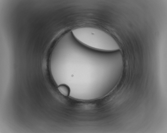 X0000113890539200909241144