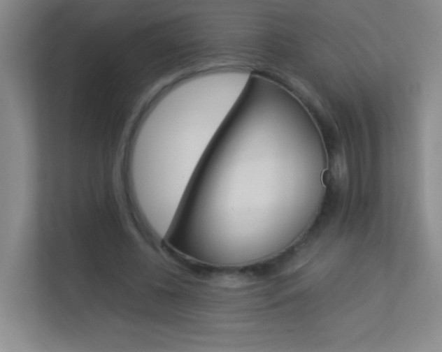 X0000113890540200909241144