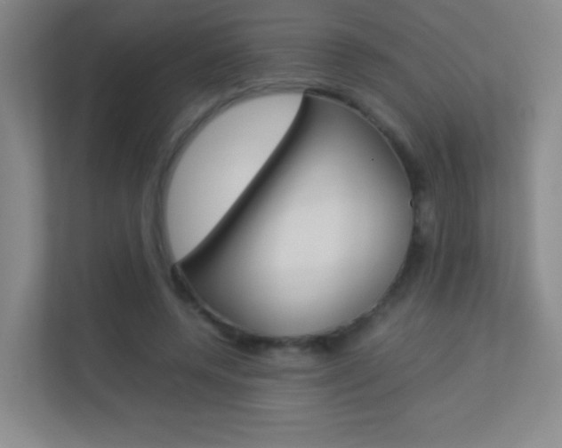 X0000113890544200909241144