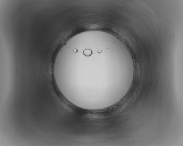 X0000113890545200909241144