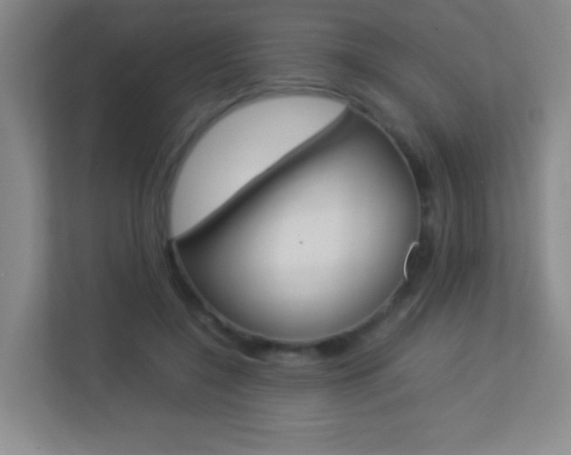 X0000113890548200909241144