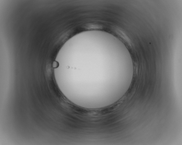 X0000113890549200909241144