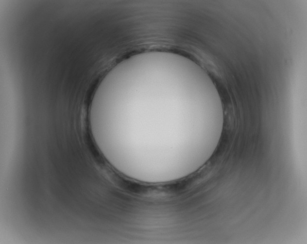 X0000113890550200909241144