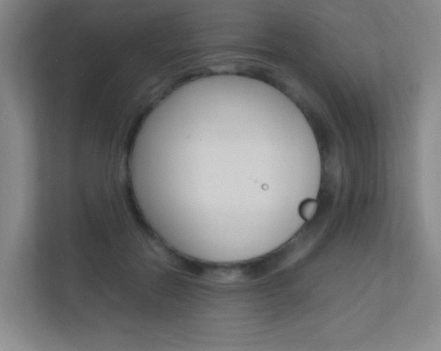X0000113890554200909241144