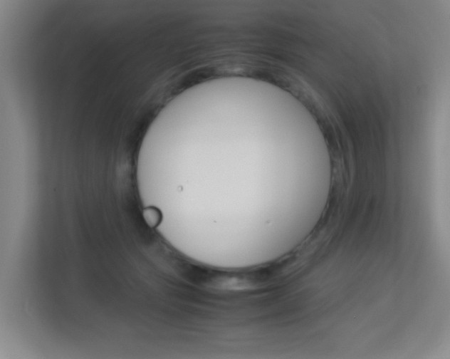 X0000113890557200909241144