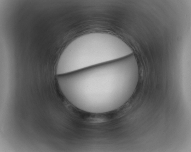 X0000113890559200909241144