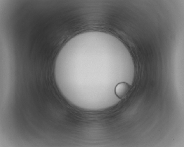 X0000113890560200909241144