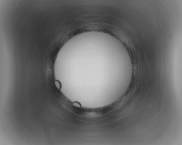 X0000113890561200909241144