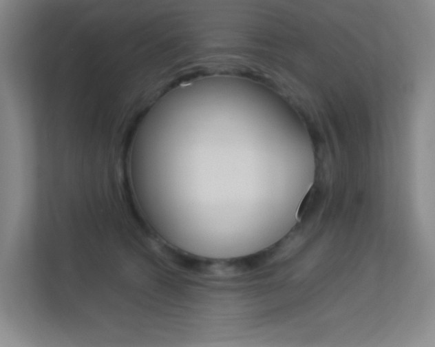 X0000113890562200909241144