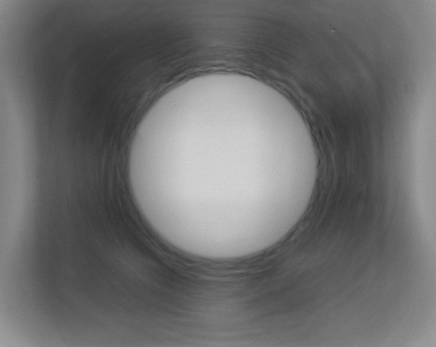 X0000113890564200909241144