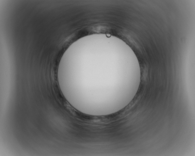 X0000113890569200909241144