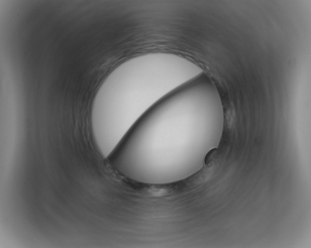 X0000113890570200909241144