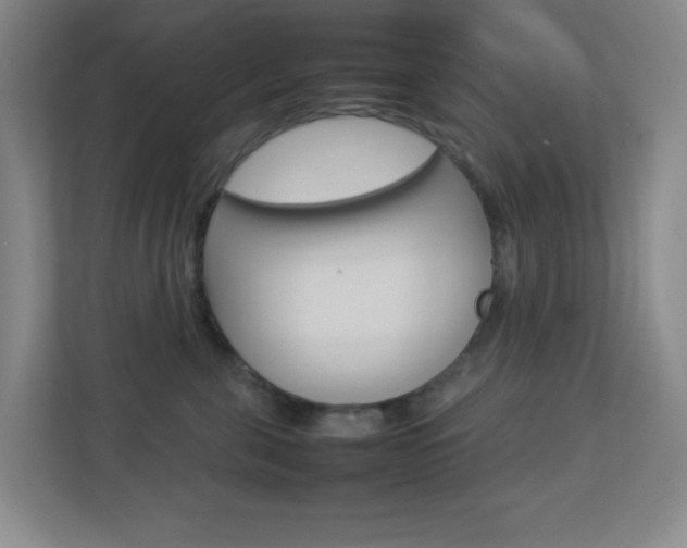 X0000113890571200909241144