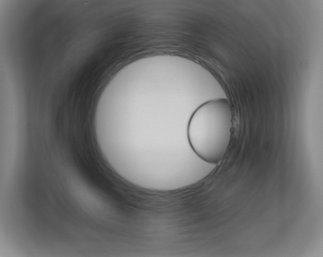 X0000113890572200909241144