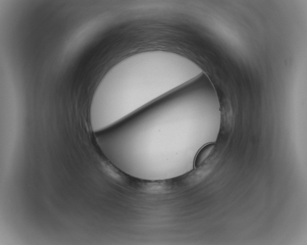 X0000113890574200909241145