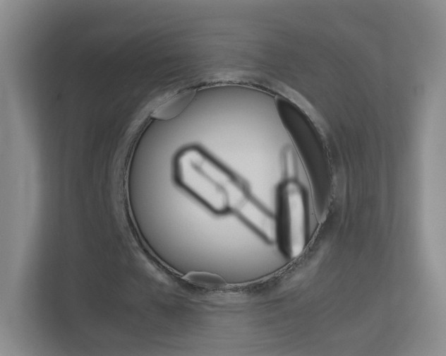 X0000113890577200909241144