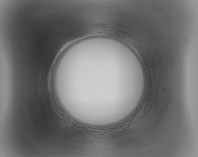 X0000113890579200909241144