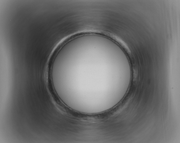 X0000113890580200909241144