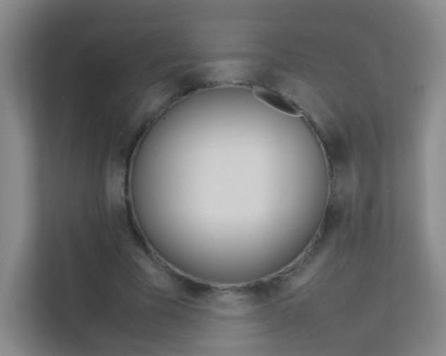 X0000113890585200909241144