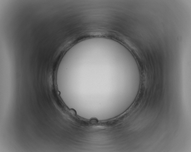 X0000113890586200909241144