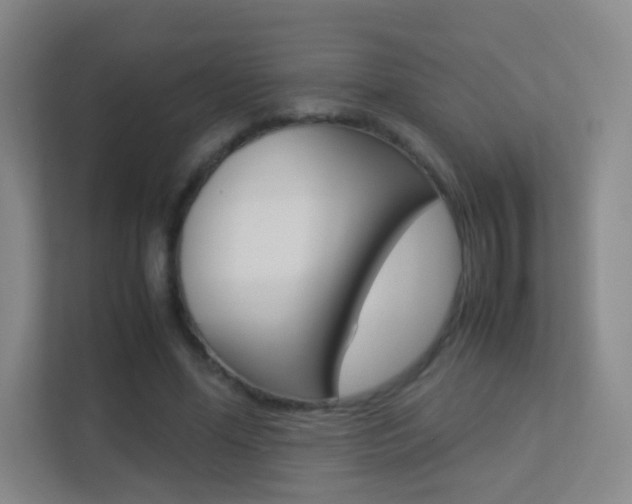 X0000113890588200909241144