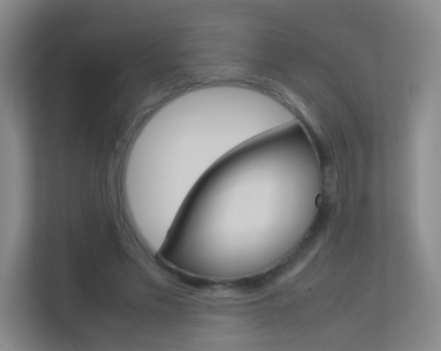 X0000113890589200909241144