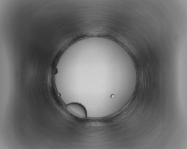 X0000113890590200909241144