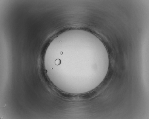 X0000113890591200909241144