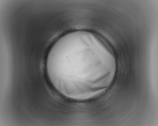X0000113890592200909241144