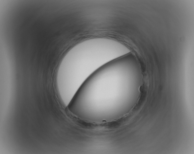 X0000113890593200909241144