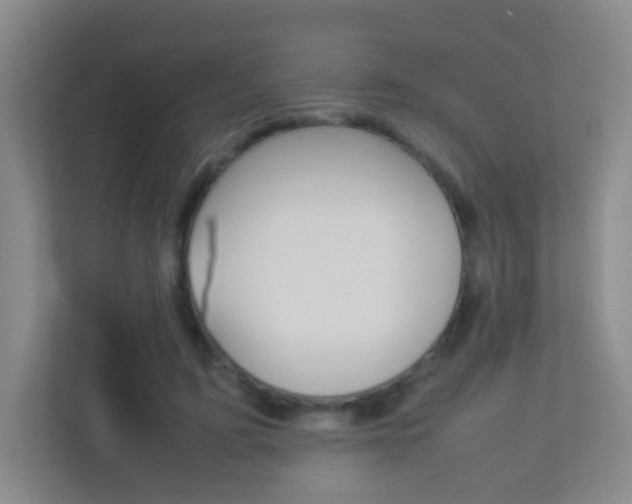 X0000113890595200909241144