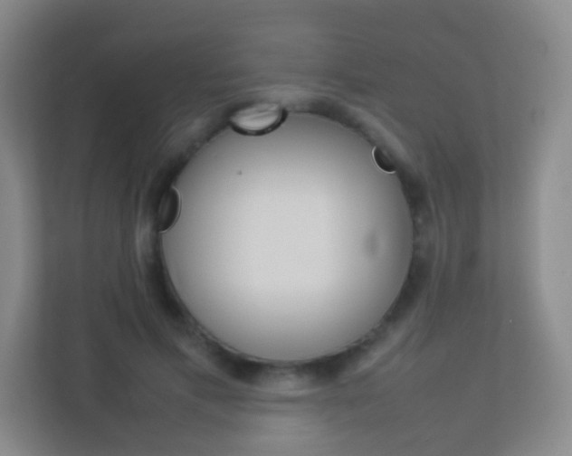 X0000113890597200909241144