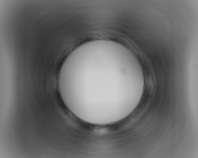 X0000113890602200909241144