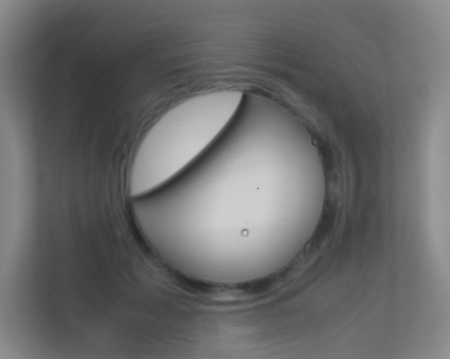 X0000113890605200909241144