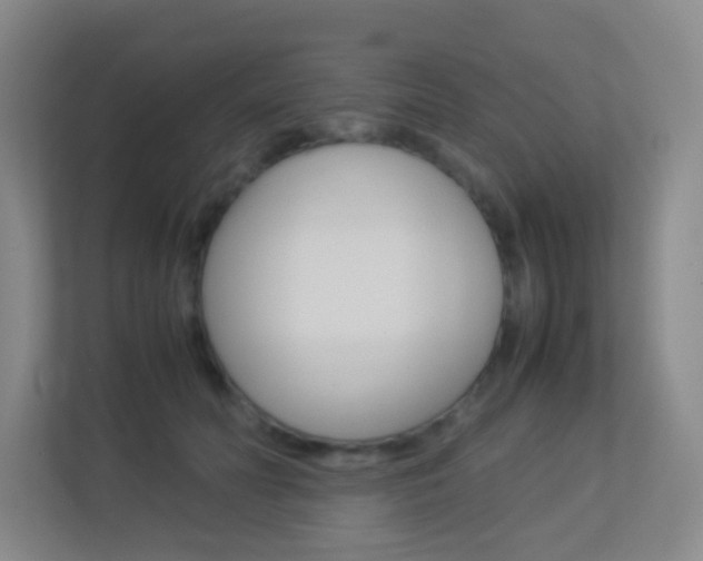 X0000113890606200909241144