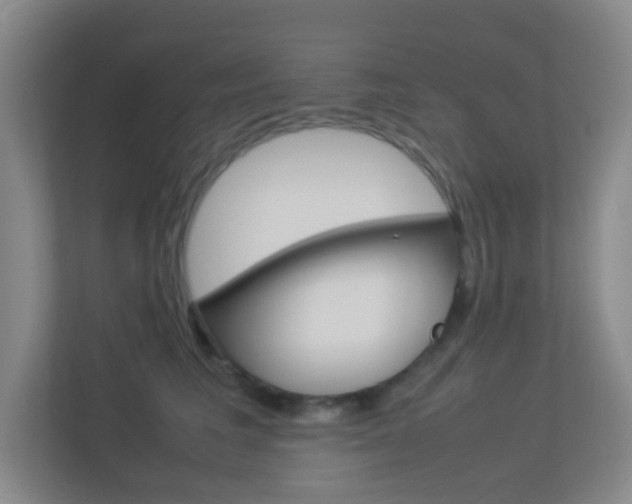 X0000113890613200909241143