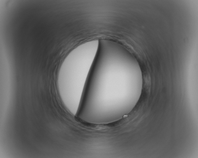 X0000113890617200909241143