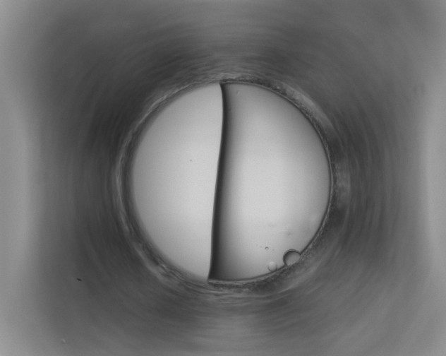 X0000113890626200909241143