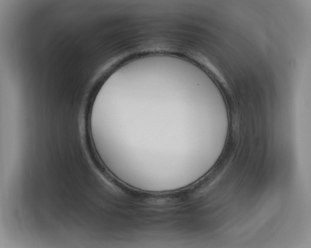 X0000113890629200909241143