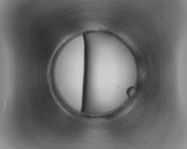 X0000113890630200909241143
